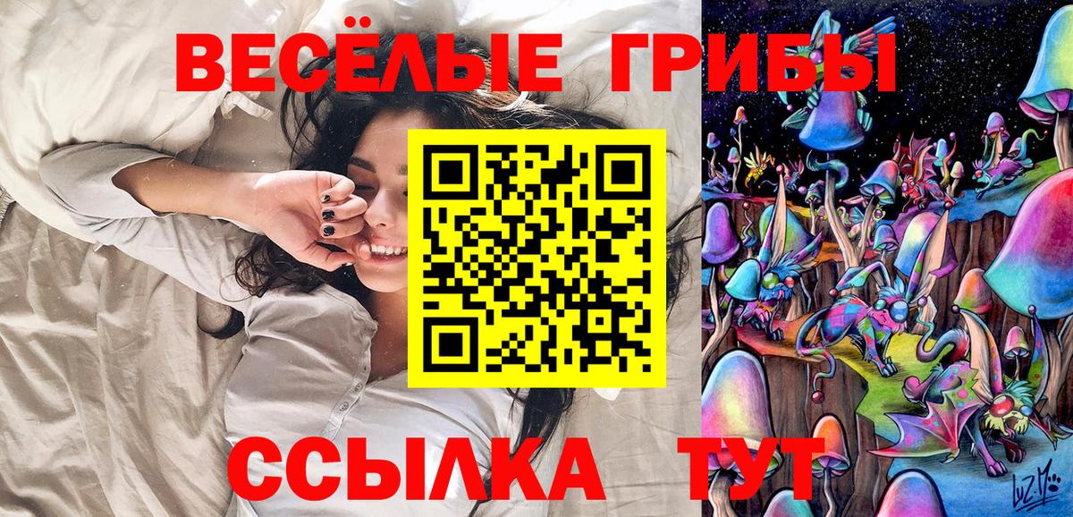 Орехово-Зуево  Галлюциногенные грибы Cubensis  Вход с VPN  Псилоцибиновые грибы ЛСД 