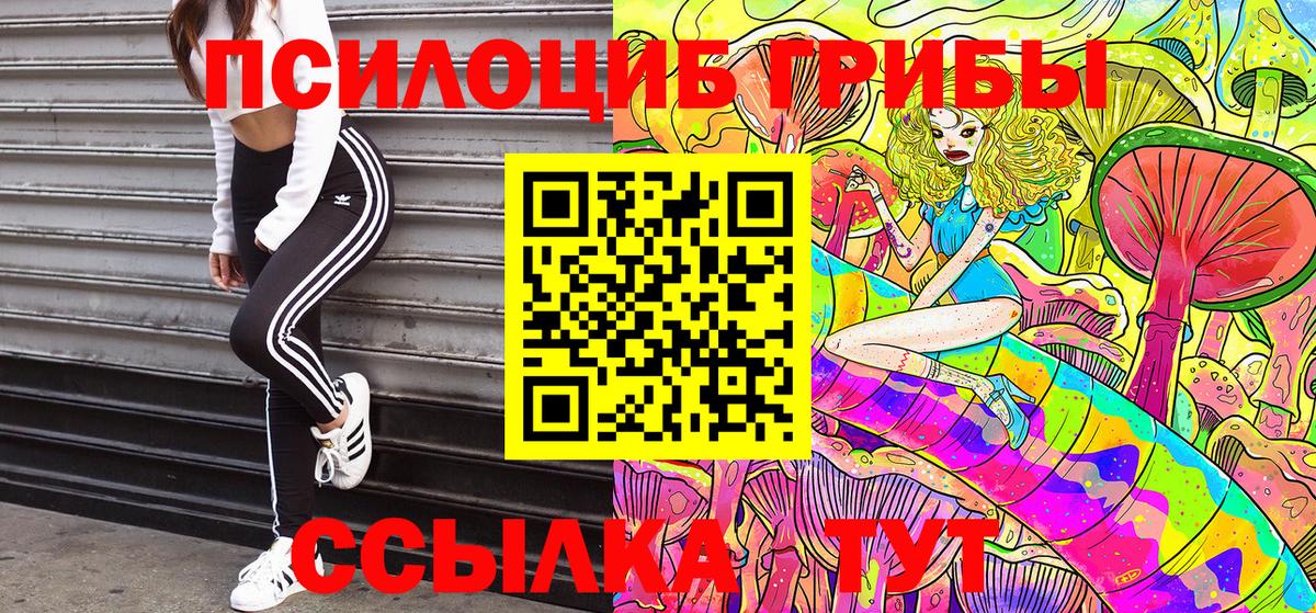 Псилоцибиновые грибы Psilocybe Орехово-Зуево